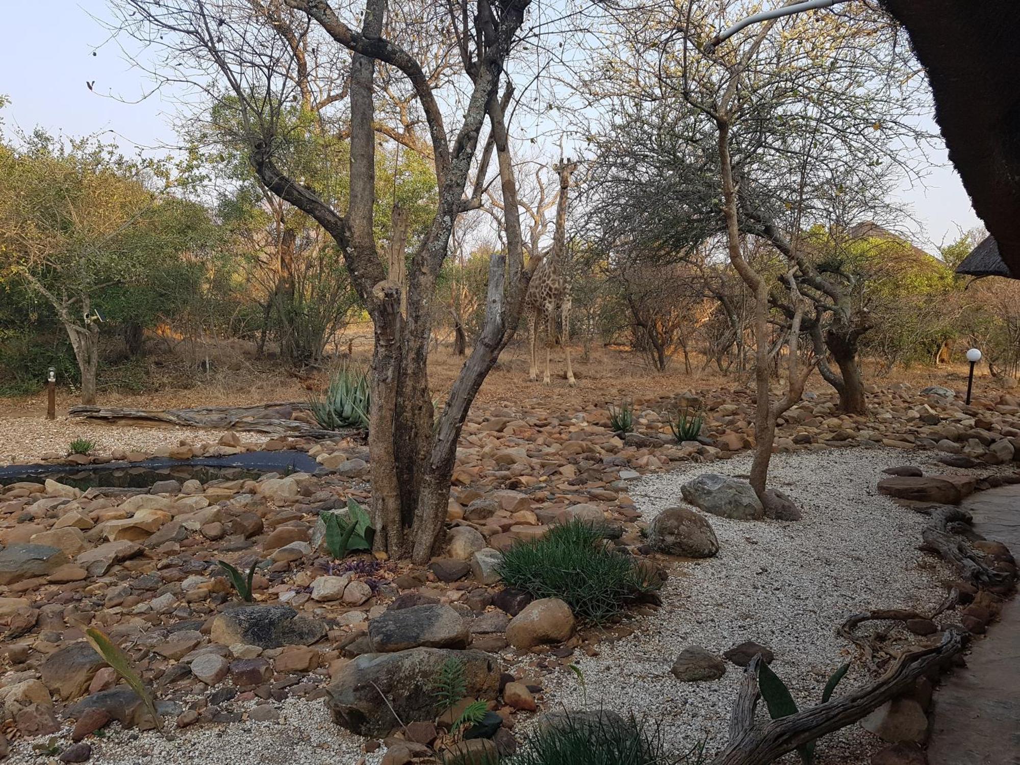 Bona Intaba Game Lodge Hoedspruit Bagian luar foto