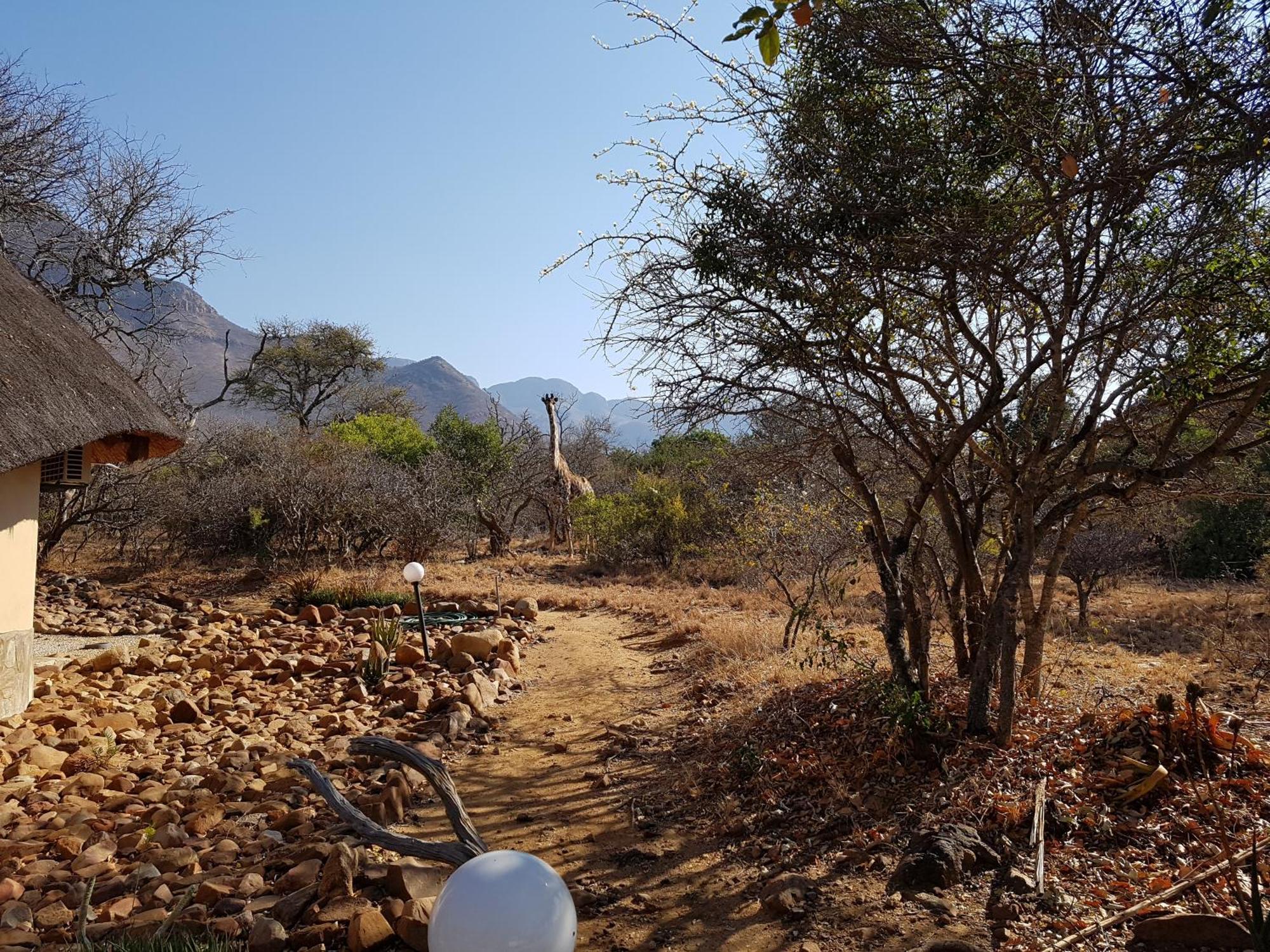 Bona Intaba Game Lodge Hoedspruit Bagian luar foto